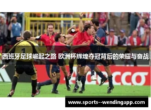 西班牙足球崛起之路 欧洲杯辉煌夺冠背后的荣耀与奋战