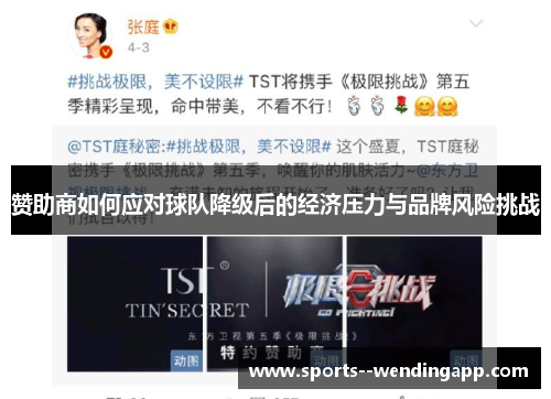 赞助商如何应对球队降级后的经济压力与品牌风险挑战