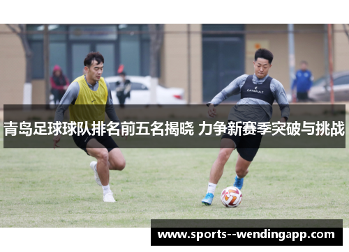 青岛足球球队排名前五名揭晓 力争新赛季突破与挑战