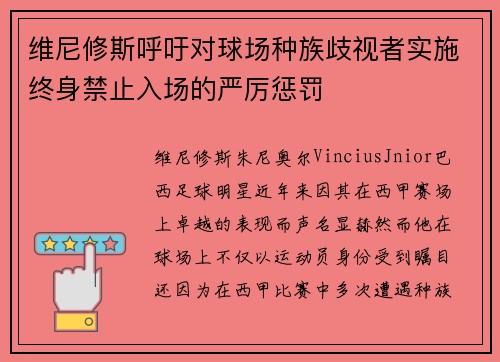 维尼修斯呼吁对球场种族歧视者实施终身禁止入场的严厉惩罚