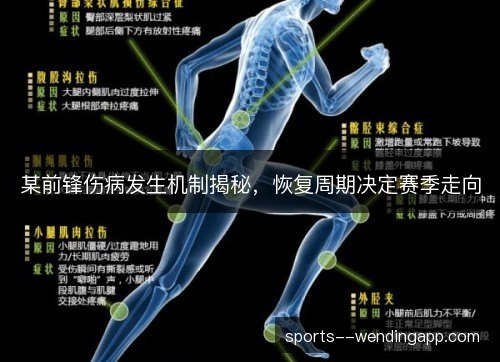 某前锋伤病发生机制揭秘，恢复周期决定赛季走向